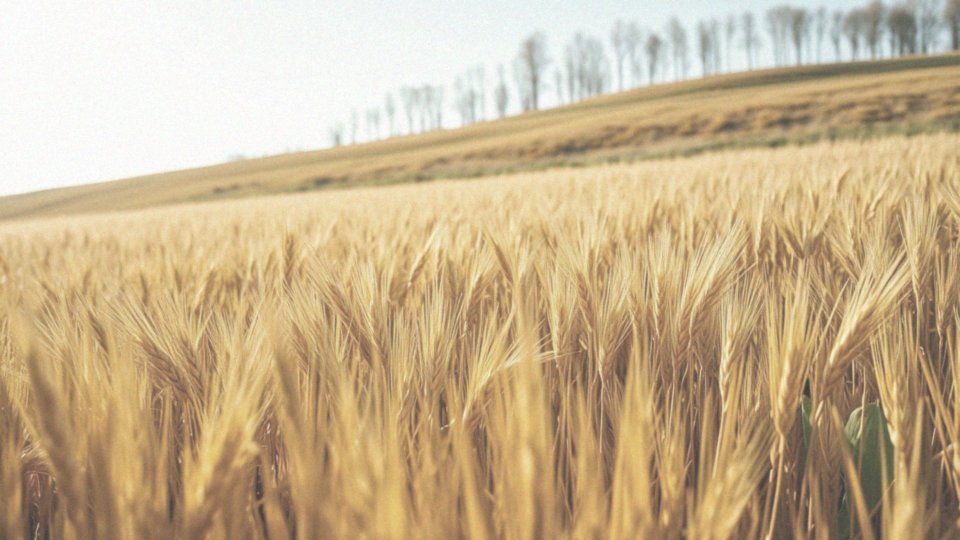 Jakie są główne funkcje odcinka lędźwiowego kręgosłupa?