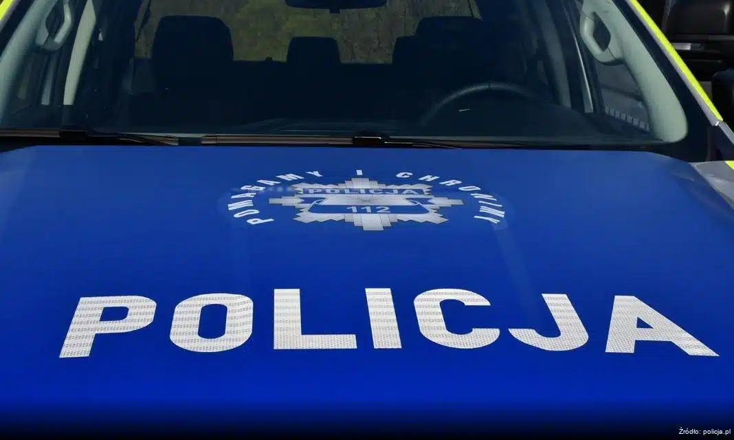 Likwidacja dzikiego wysypiska w gminie Rudziniec