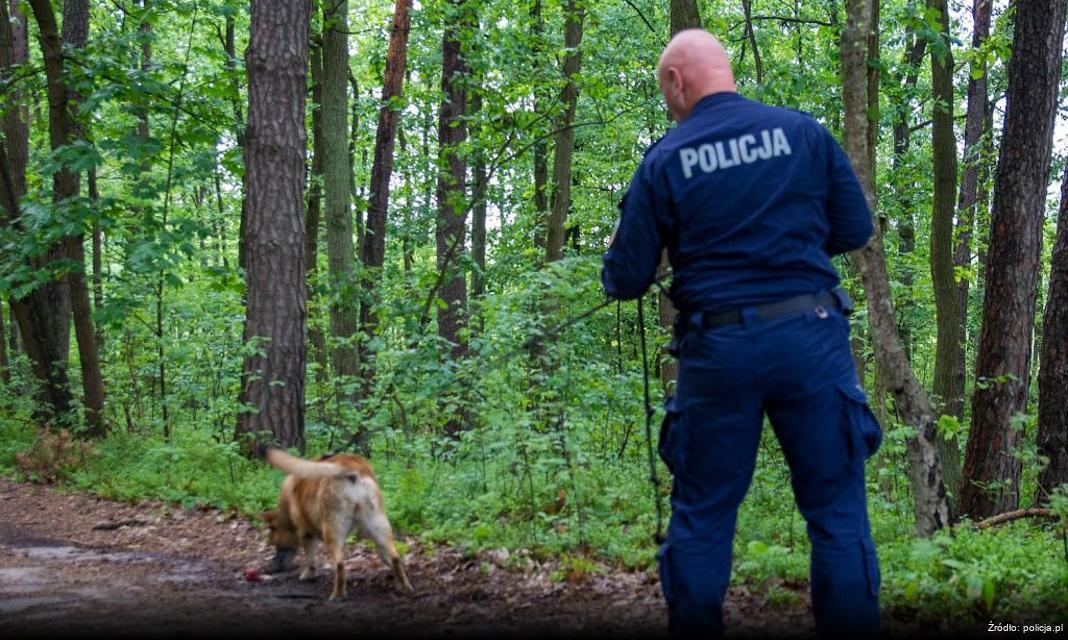 Nocne Manewry Poszukiwawczo-Ratownicze w Knurowie