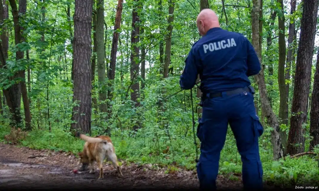 Uwaga na oszustwa internetowe przed świętami w Knurowie