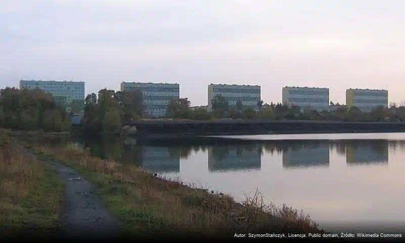 Szczygłowice