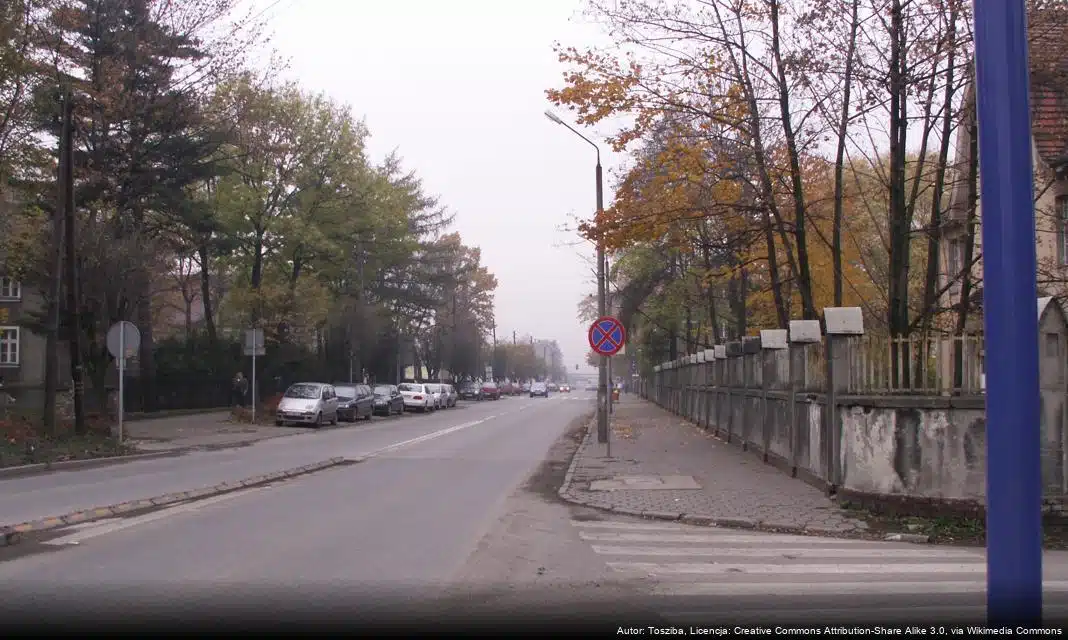 Rozpoczęcie naboru ofert na małe granty w Knurowie